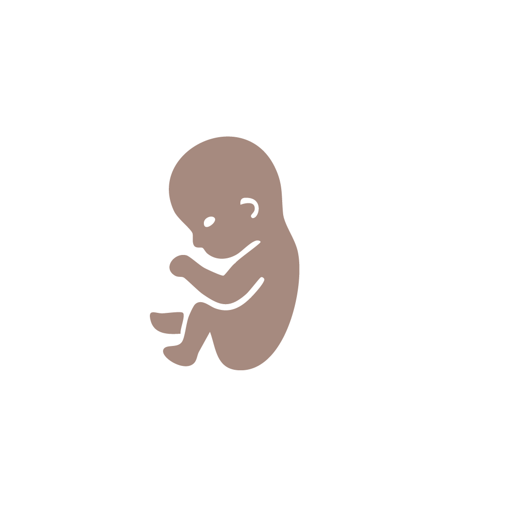 Trimester icons brown-03