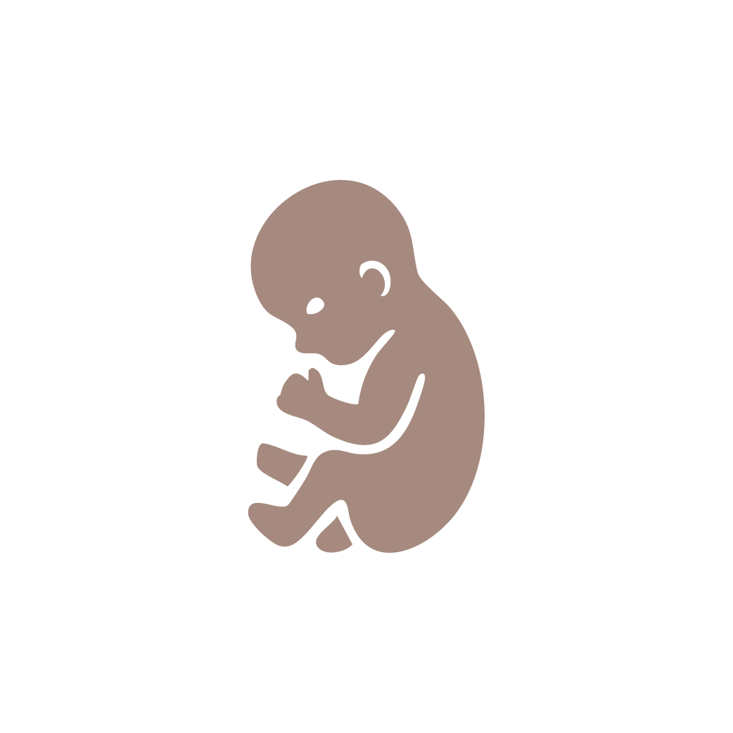 Trimester icons brown-06