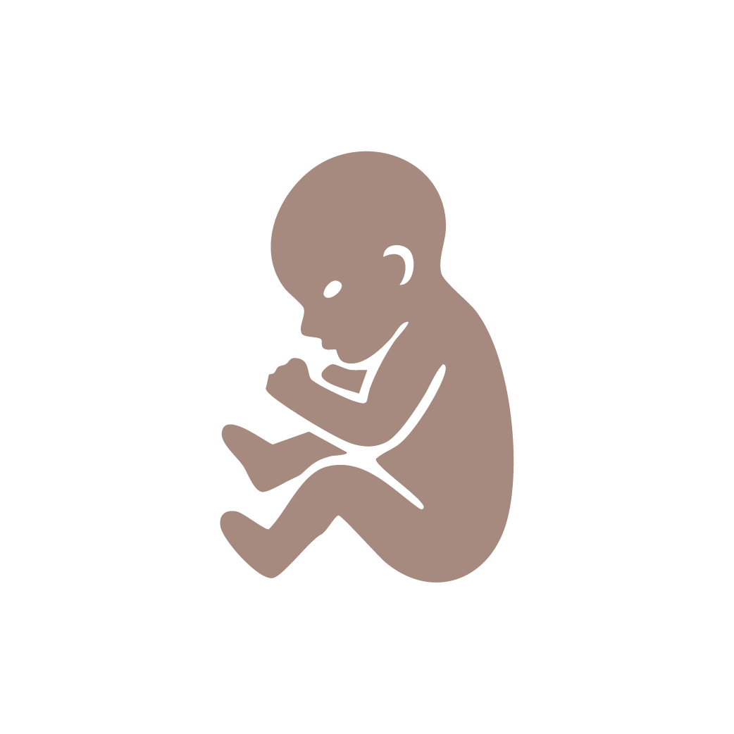 Trimester icons brown-08