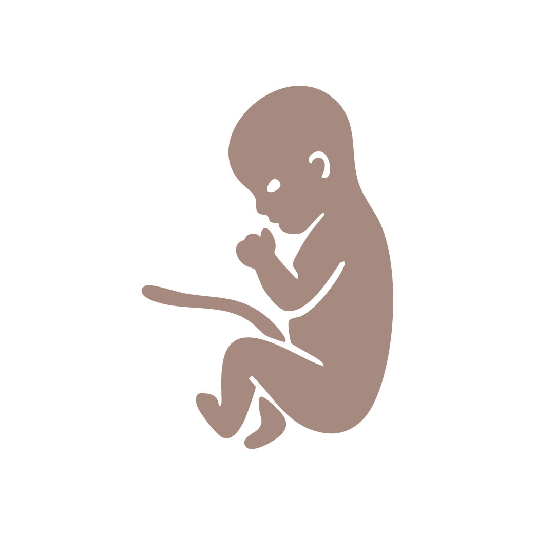 Trimester icons brown-09